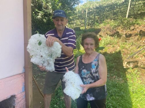 Granizo da madrugada causa prejuízos incalculáveis em parreirais em alguns municípios gaúchos