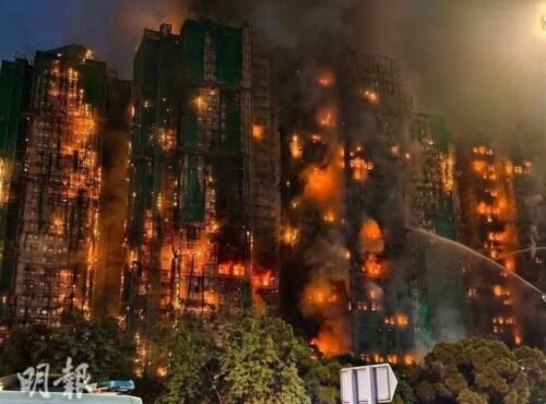 589203318 1445663650456708 9122430002595245717 n