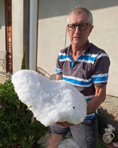 Granizo da madrugada causa prejuízos incalculáveis em parreirais em alguns municípios gaúchos 2 590867639 10214385365743425 6350569401150148296 n