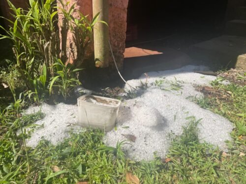 Granizo da madrugada causa prejuízos incalculáveis em parreirais em alguns municípios gaúchos 14 591133835 18412780558140363 2998135847846750616 n