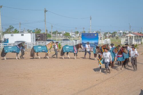 Em momento bárbaro, Rainha do Passo Fundo vence em Xangri-lá e garante vaga em Esteio 1 85d1f988 28cb 4a20 9ba1 2af2f982ab72
