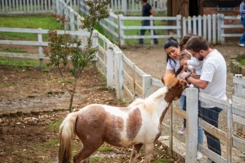 8d505e82 076e 4e12 b721 4507e8e883e2