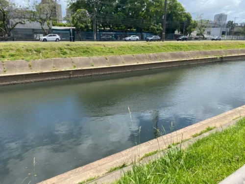 Corpo é localizado no Arroio Dilúvio, em Porto Alegre