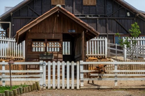 de683a6e 869e 4f9c 8349 875438358828