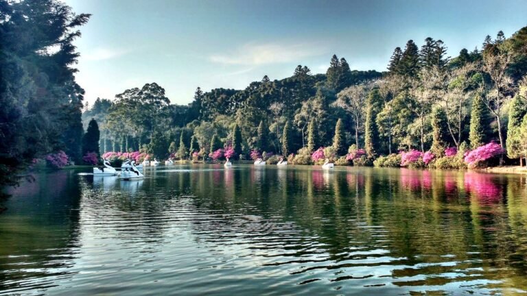 Atrativos gratuitos em Gramado LAGO NEGRO 13 Atrativos gratuitos em Gramado LAGO NEGRO