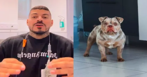 Influenciador de SC perde dedo do pé enquanto dormia e descobre que cachorro comeu membro