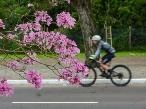 Saiba como será o clima em novembro no Rio Grande do Sul