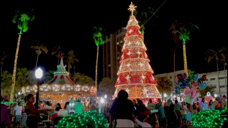 Natal Iluminado