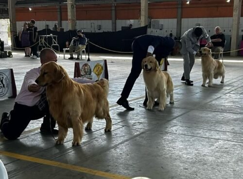 TRAMANDAÍ RECEBEU UM DOS MAIORES EVENTOS CINÓFILOS DO LITORAL NORTE!