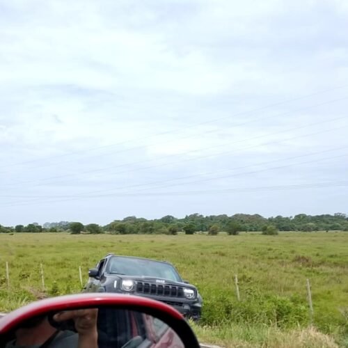 Acidente envolvendo três veículos causa congestionamento na Estrada do Mar em Osório