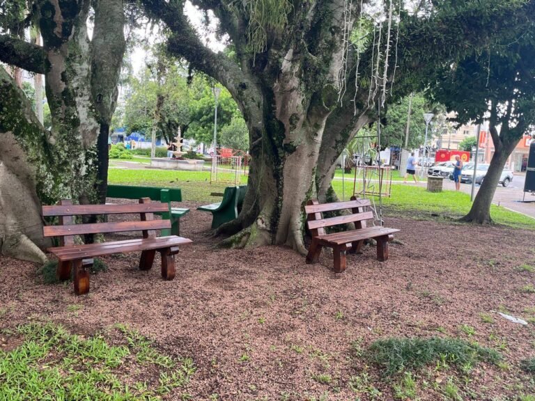 SECRETARIA DE MEIO AMBIENTE INSTALA NOVOS BANCOS NA PRAÇA DA CATEDRAL E NOVAS LIXEIRAS NA SEDE E PRAIA 17 605340337 1306799871488577 2274355855415986416 n
