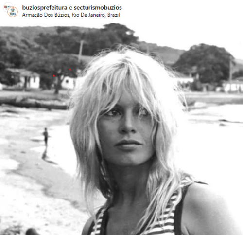 Brigitte Bardot morre aos 91 anos: Relembre relação da atriz com o Brasil 2 Captura de tela 2025 12 28 231849