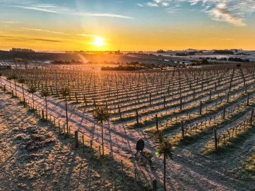 Quarta-feira terá temperatura baixa para a época e possibilidade de geada no RS
