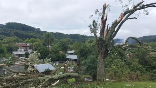 Imagens aéreas da destruição confirmam mais um tornado na Serra Gaúcha 6 farroupilha7.jpg