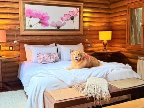 Pousada de Charme em São Chico cria Bistrô Pet e recebe certificação pet friendly 3 36ba8d38 34ad 4466 b148 e4a722a85128