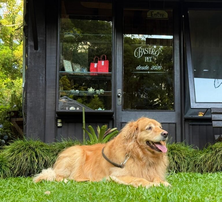Pousada de Charme em São Chico cria Bistrô Pet e recebe certificação pet friendly 8 4772da9c dda2 434c bd84 3fe6c79b3918