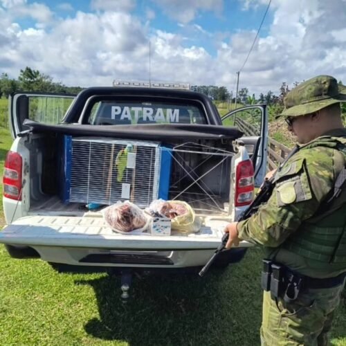 Brigada Militar prende homem por crimes ambientais e posse irregular de arma em Osório 4 608903687 25207444002260656 3076554446728790084 n