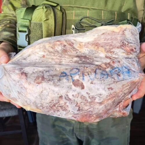 Brigada Militar prende homem por crimes ambientais e posse irregular de arma em Osório 3 610889767 25207443772260679 2996720153471849936 n