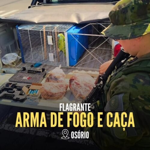 Brigada Militar prende homem por crimes ambientais e posse irregular de arma em Osório 1 611251168 25207443898927333 7216621735494576011 n