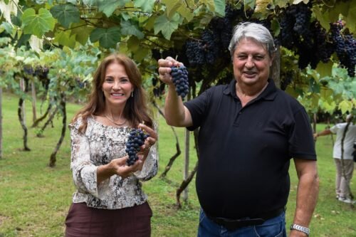 A 5ª Vindima em Gramado teve sua cerimônia oficial de abertura realizada no último sábado, 10 de janeiro, na Vinícola Casa Seganfredo, na localidade da Serra Grande 6 615458657 1209223384644978 3377138311789984507 n