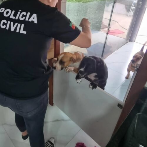 Polícia Civil fiscaliza locais de maus tratos contra animais domésticos em Osório