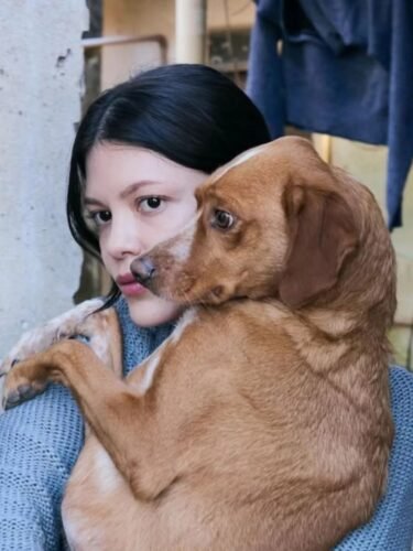 Vitória Strada é a protagonista do filme 'Caju, Meu Amigo 1 618816615 1330439132453243 1543571829128782872 n