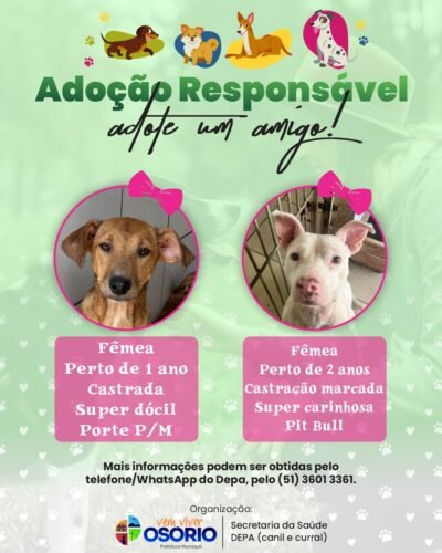 CANIL MUNICIPAL DE OSÓRIO REALIZA CAMPANHA PARA A ADOÇÃO RESPONSÁVEL DE CÃES