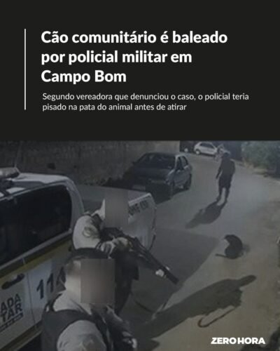 Um cão comunitário foi baleado por um policial militar na noite de terça-feira (27), em Campo Bom, no Vale do Sinos.