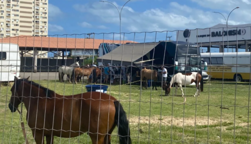 40ª Cavalgada do Mar inicia nesta Sexta-feira (23) em Torres 1 Captura de tela 2026 01 23 234614