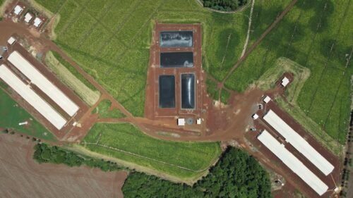 O Rio Grande do Sul é um dos destaques no ranking nacional de uso de energia limpa por produtores integrados da Seara 1 c206f6f6 d080 4494 aa72 088069470b41