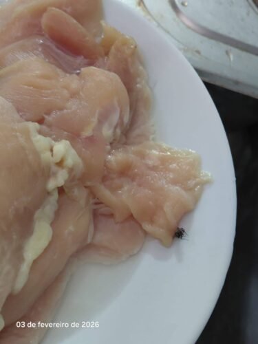 Fiscalização sanitária apreende cerca de 500 kg de alimentos impróprios em Osório e Atlântida Sul 5 624574242 25482433851428335 4807955104231007210 n