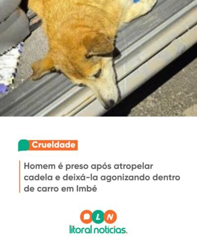 Homem é preso após atropelar cadela e deixá-la agonizando dentro de carro em Imbé 1 626941702 1596397145153166 3067116039027149042 n