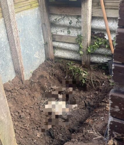 Polícia Civil localiza corpo enterrado em Osório e prende duas pessoas envolvidas em homicídio e ocultação de cadáver 1 627699152 25479675275037526 2197240993220232834 n