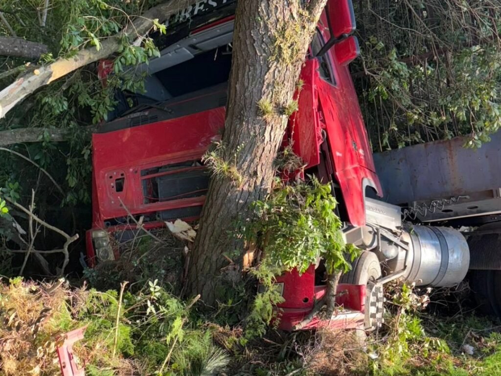 Carreta colide contra &aacute;rvores em Os&oacute;rio ap&oacute;s motorista tentar evitar colis&atilde;o