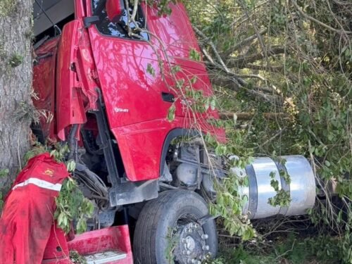 Carreta colide contra árvores em Osório após motorista tentar evitar colisão 1 632821589 25558147713856948 3946405136077871590 n