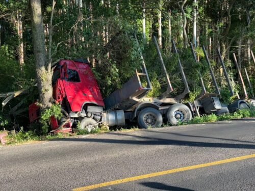 Carreta colide contra árvores em Osório após motorista tentar evitar colisão 3 632827505 25558147720523614 5769366493174344000 n