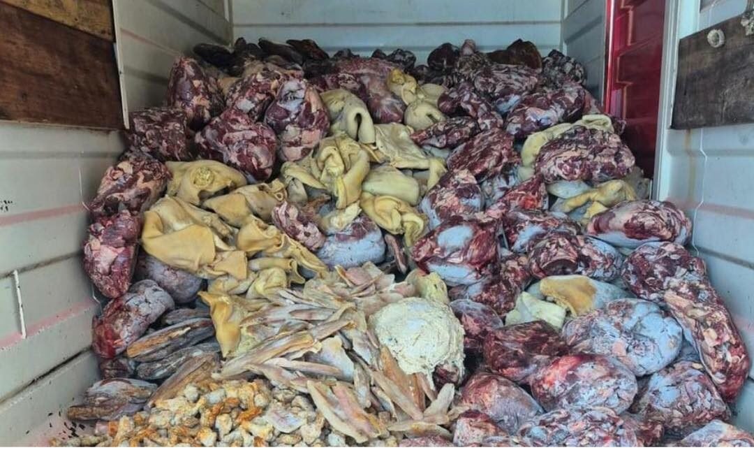 Fiscaliza&ccedil;&atilde;o apreende 9 toneladas de carne impr&oacute;pria para consumo em supermercado em Imb&eacute;