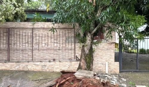 Estrela: ESTADO DE CALAMIDADE PÚBLICA PREFEITURA VAI DECRETAR NO MUNICÍPIO APÓS DANOS CAUSADOS PELA TEMPESTADE 6 633601601 1343594537802325 2250729816293595733 n