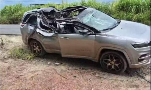 Eucalipto cai em cima de carro em estrada e mata criança de 1 ano 1 633846220 1517331630396313 3441648916243777522 n 1