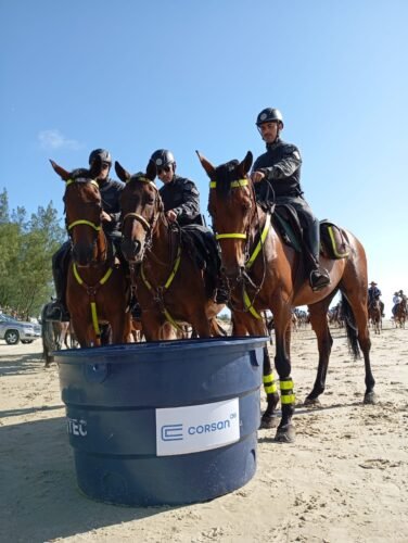 Corsan fornece mais de 120 mil litros de água para hidratação dos animas na 40ª edição da Cavalgada do Mar 4 cad8fe50 c378 42aa a905 43700a24f6ab