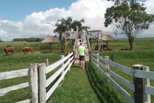 Biotur Viagens oferece experiências de campo e mar no Litoral Norte após o Carnaval 1 hotel fazenda2