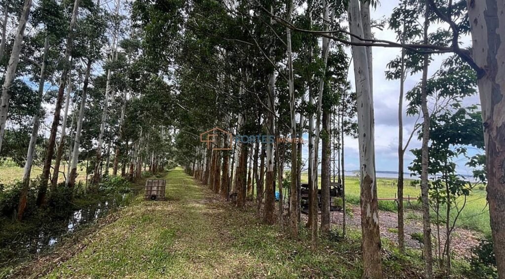 Fortes Imóveis Vende chácara Luxuosa com lagoa em Osório 9 neiva 08