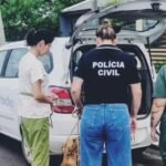 Polícia Civil prende autor de maus tratos contra cão doméstico em Osório