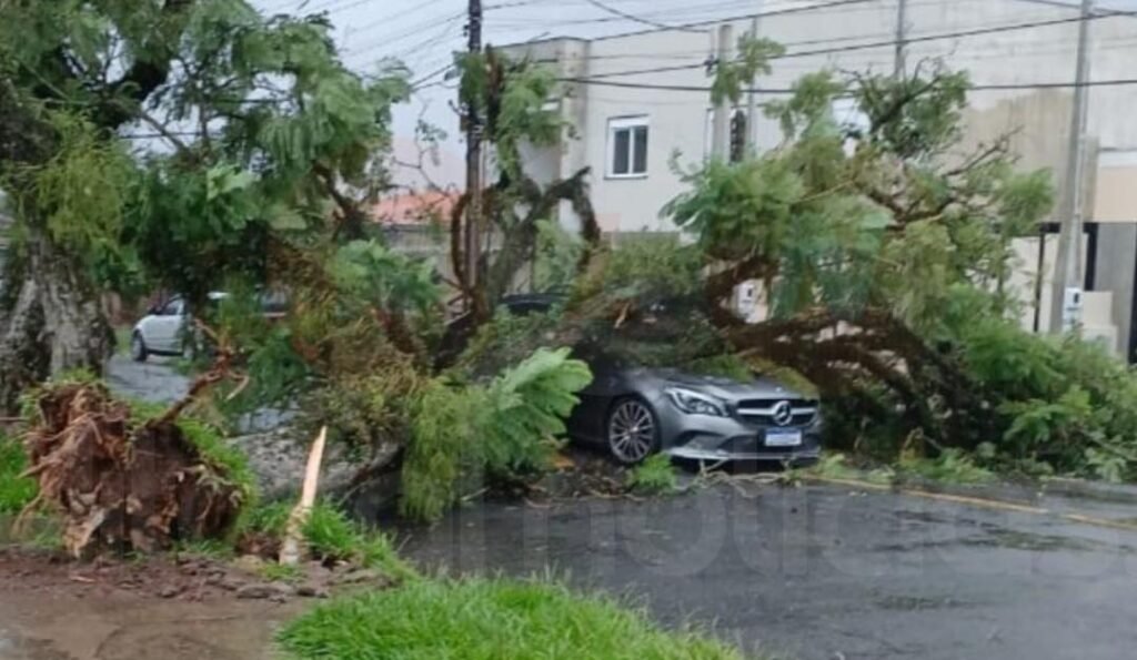 Carro &eacute; atingido por &aacute;rvore durante&nbsp; temporal em Canoas