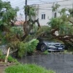 Carro é atingido por árvore durante  temporal em Canoas