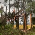 Temporal com granizo causa estragos no interior do Rio Grande do Sul