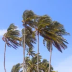 Ciclone extratropical ameaça Sul do Brasil com rajadas de vento que podem superar os 100 km/h