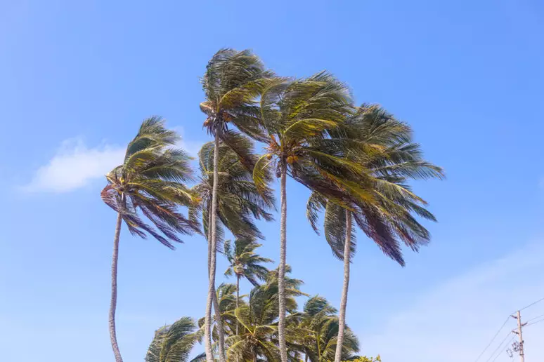 Ciclone extratropical amea&ccedil;a Sul do Brasil com rajadas de vento que podem superar os 100 km/h