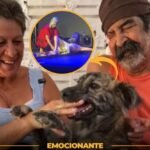 Cachorra perdida na enchente do RS reencontrou o dono de 73 anos após viralizar defendendo Jesus na Paixão de Cristo