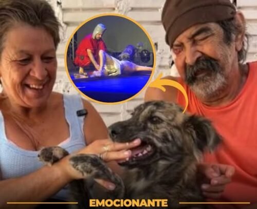 Cachorra perdida na enchente do RS reencontrou o dono de 73 anos após viralizar defendendo Jesus na Paixão de Cristo